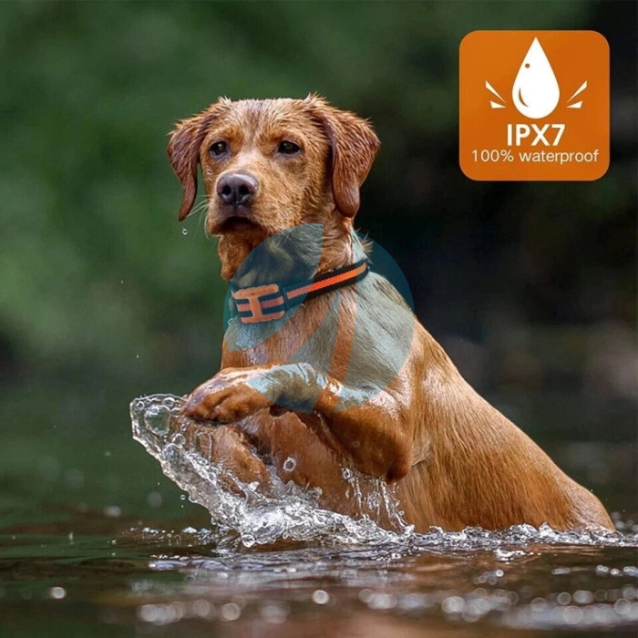 Електро нашийник для навчання і тренувань собак водонепроникний клас ipx7 колір червоний